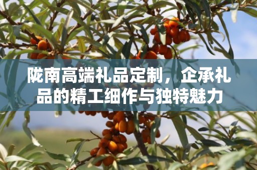 陇南高端礼品定制，企承礼品的精工细作与独特魅力